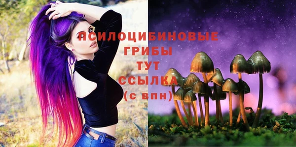 МДПВ Алексин