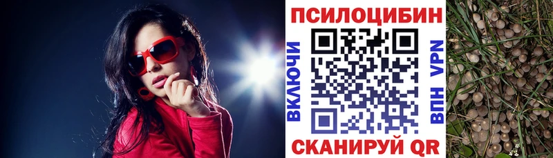 наркошоп  Бирюч  Псилоцибиновые грибы ЛСД 